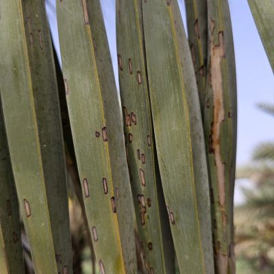 CREATOR: gd-jpeg v1.0 (using IJG JPEG v62), quality = 82?