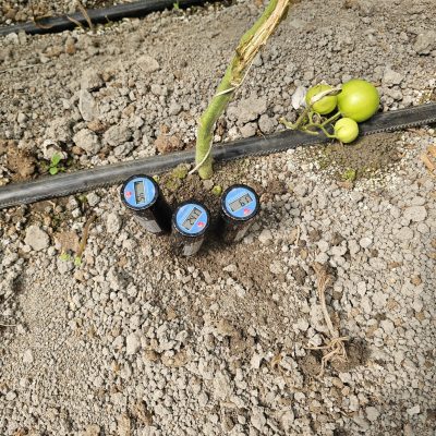 بیماری های قارچی (1)